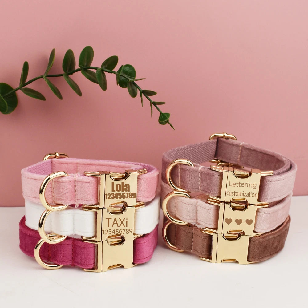 Collier Chien Velours Personnalisé Gravure Gratuite - Laisse Nœud Papillon Set
