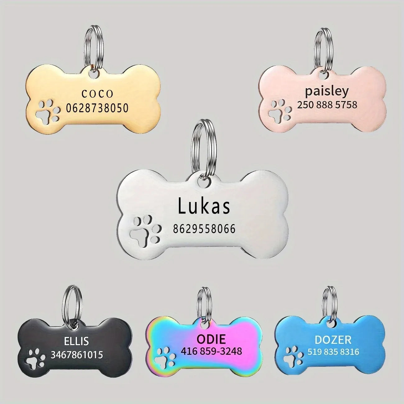 Médaille Personnalisée Gravée Os pour Chien Chat - Nom & Téléphone - Pendentif Identification Premium