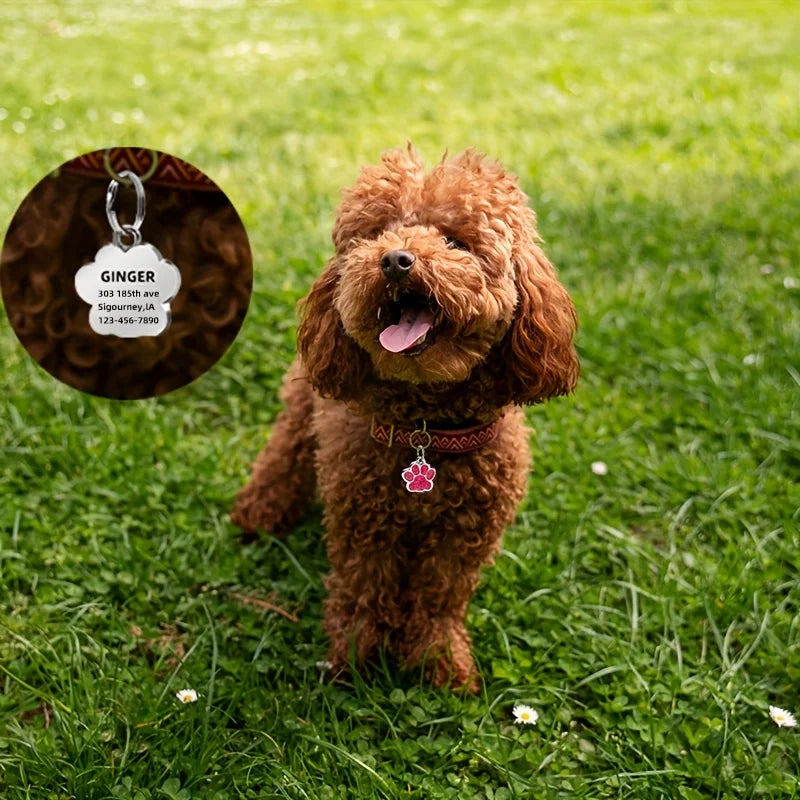 Médaille Personnalisée pour Chien et Chat - Gravure Nom, Téléphone & Date - Alliage Zinc Anti-Perte