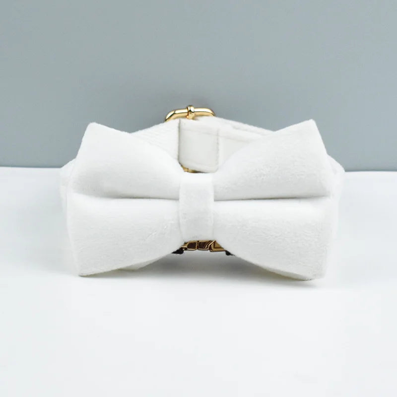 Collier Chien Velours Personnalisé Gravure Gratuite - Laisse Nœud Papillon Set