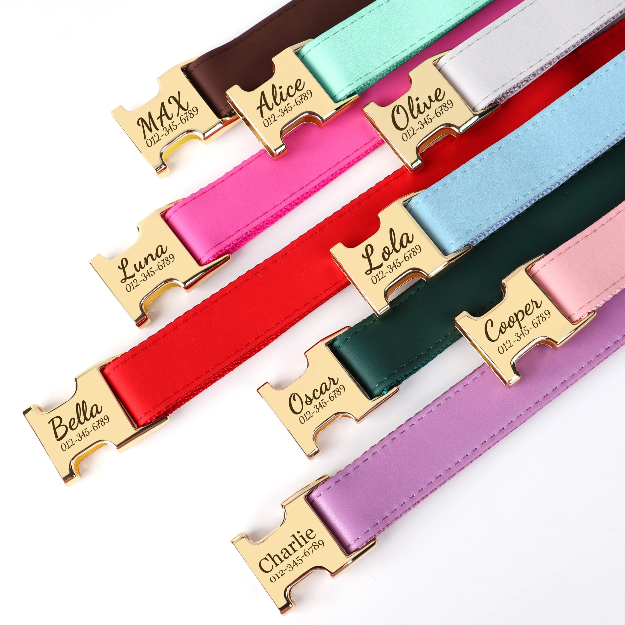 Collier Chien Cuir Personnalisé Gravure Gratuite - Anti-Perte Petit Grand