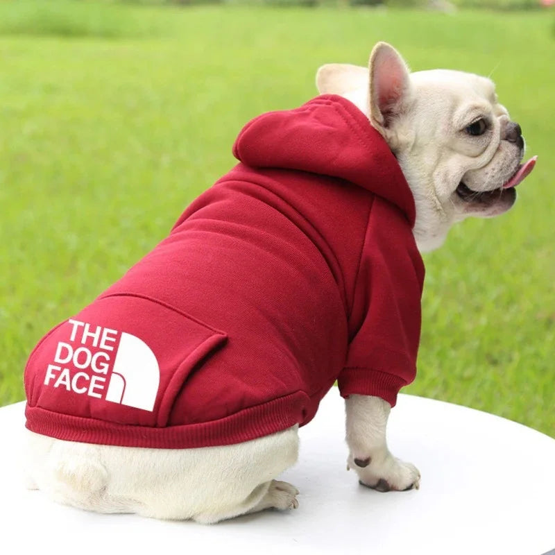 Hoodie Chien Hiver Chaud - Sweat Mode Chihuahua Bouledogue Costume | Veste Automne