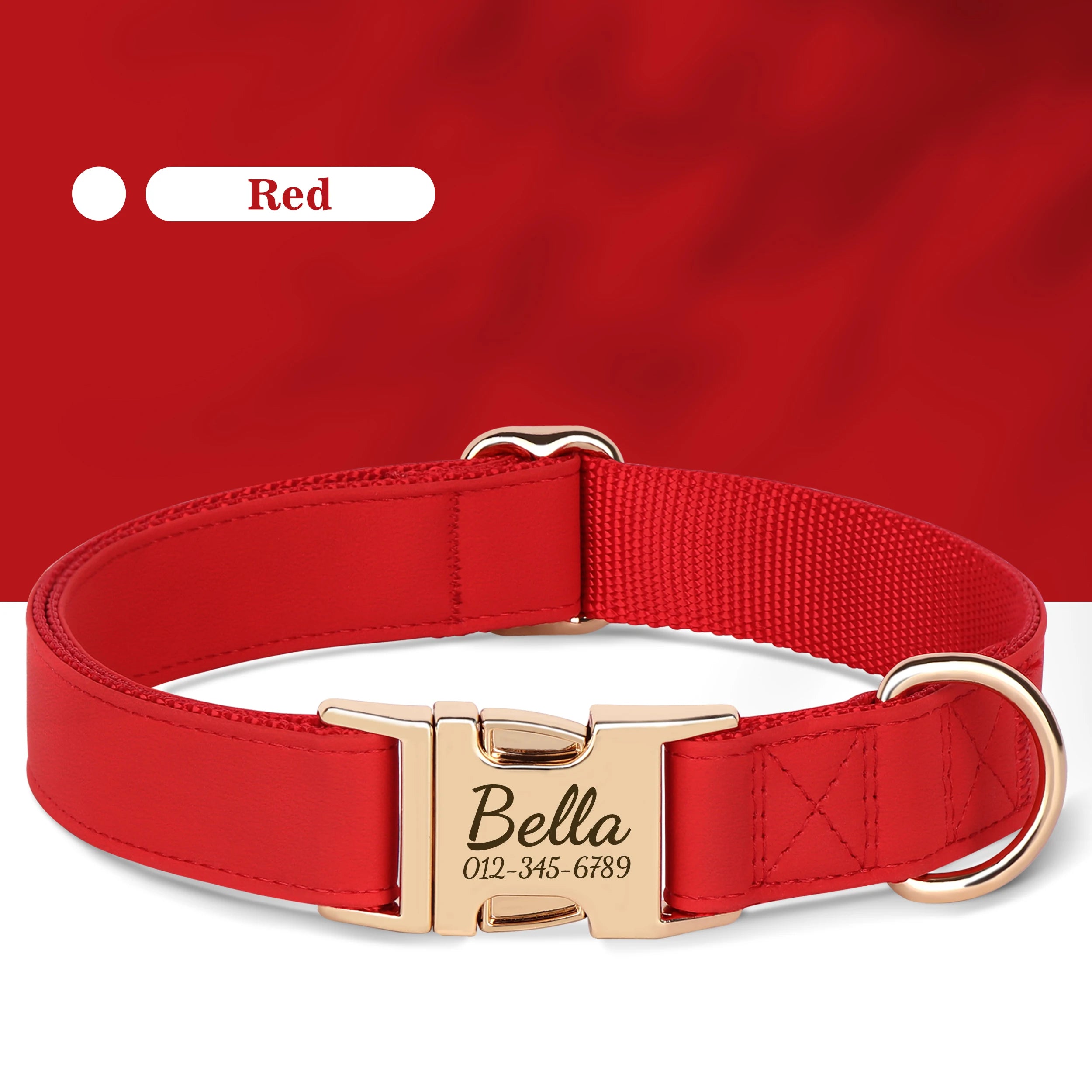 Collier Chien Cuir Personnalisé Gravure Gratuite - Anti-Perte Petit Grand