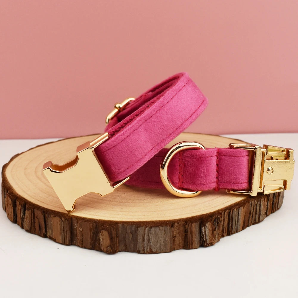 Collier Chien Velours Personnalisé Gravure Gratuite - Laisse Nœud Papillon Set