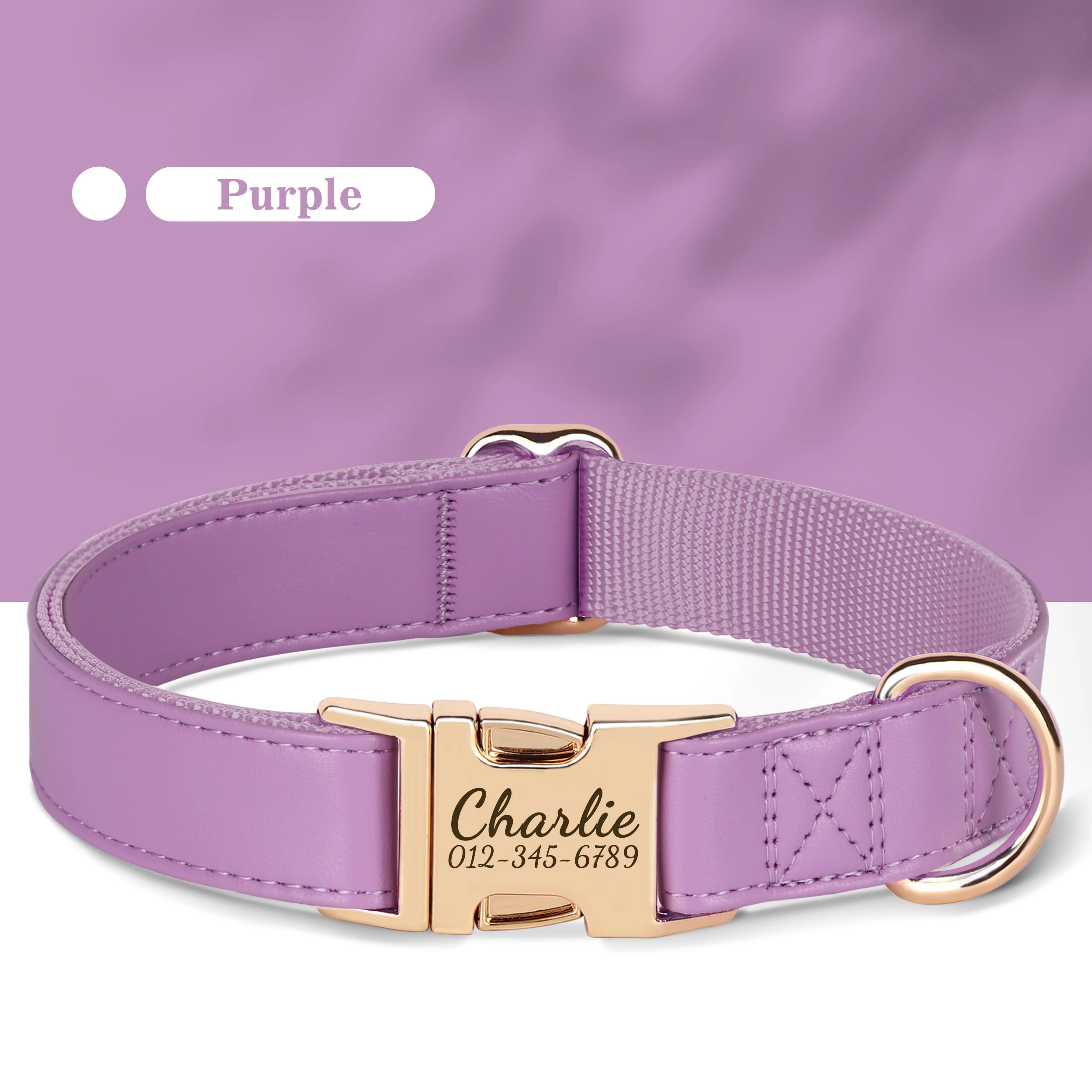 Collier Chien Cuir Personnalisé Gravure Gratuite - Anti-Perte Petit Grand