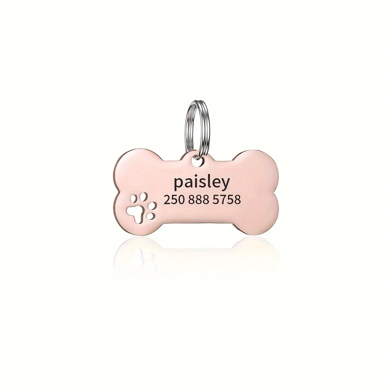 Médaille Personnalisée Gravée Os pour Chien Chat - Nom & Téléphone - Pendentif Identification Premium