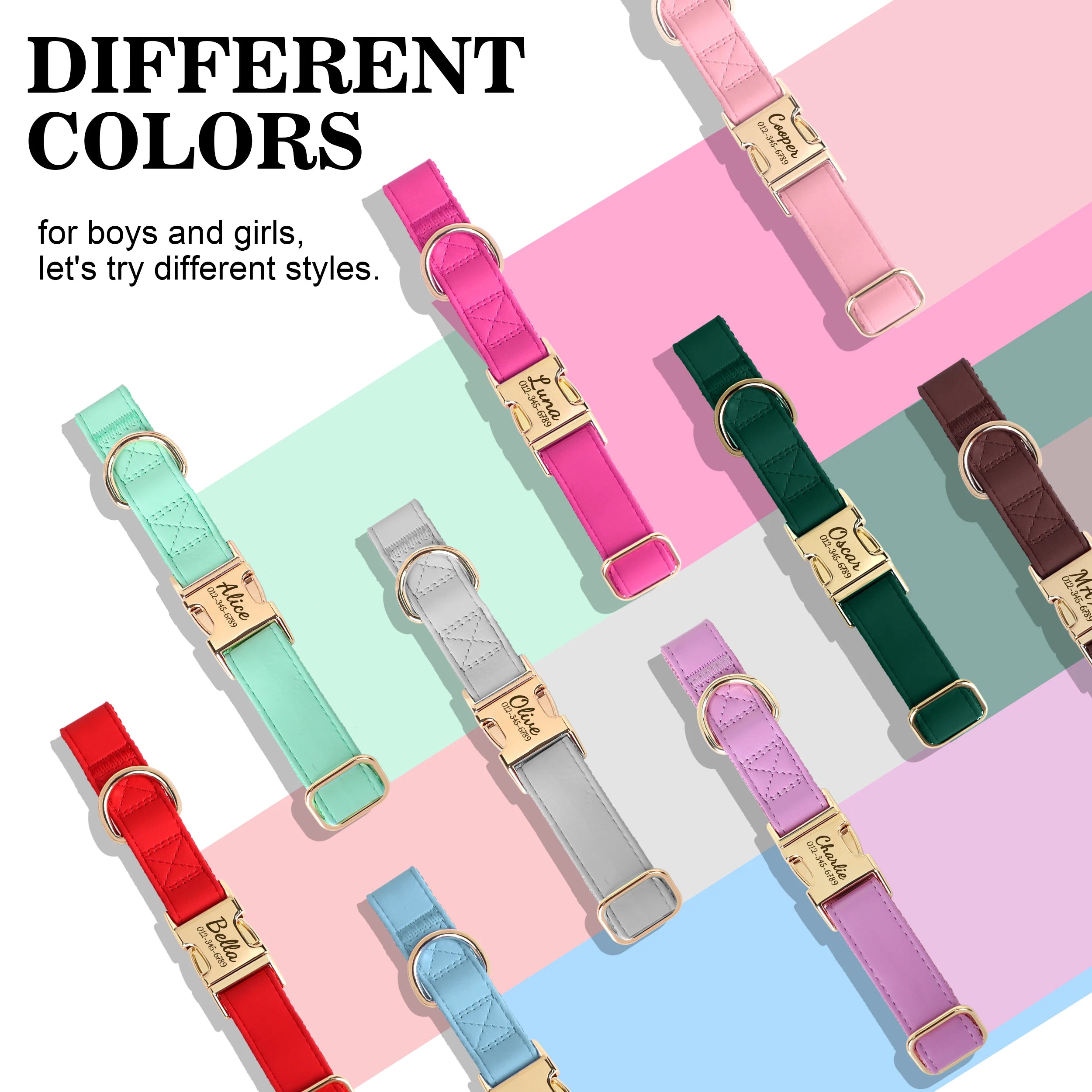 Collier Chien Cuir Personnalisé Gravure Gratuite - Anti-Perte Petit Grand