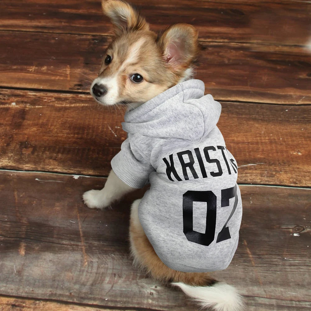 Hoodie Chien Personnalisé - Sweat à Capuche Coton pour Bouledogue Français Chihuahua | Hiver