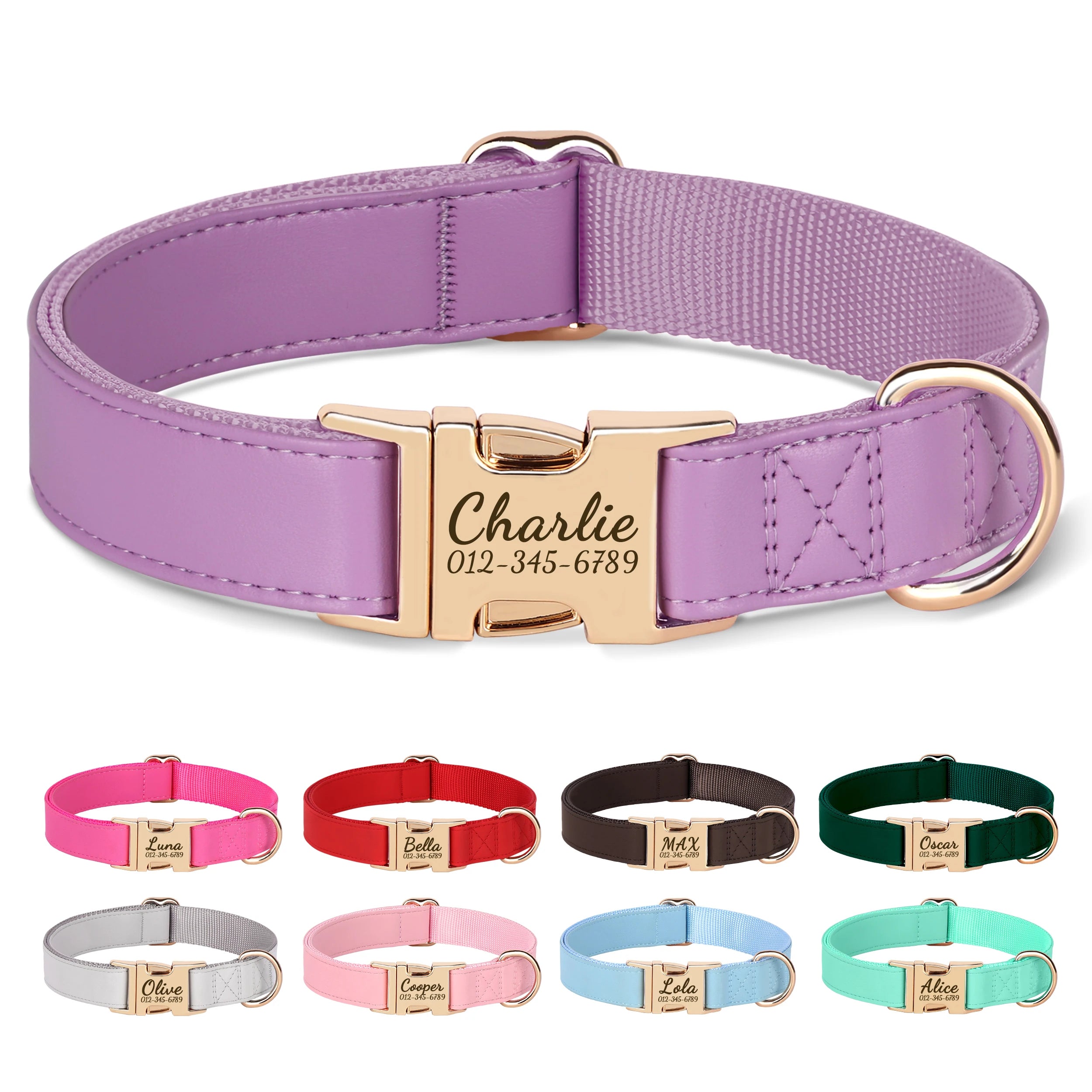 Collier Chien Cuir Personnalisé Gravure Gratuite - Anti-Perte Petit Grand