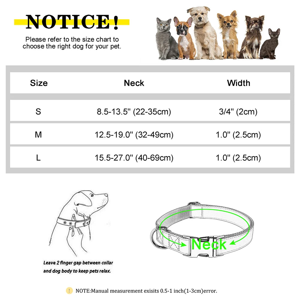 Collier Chien Cuir Personnalisé Gravure Gratuite - Anti-Perte Petit Grand